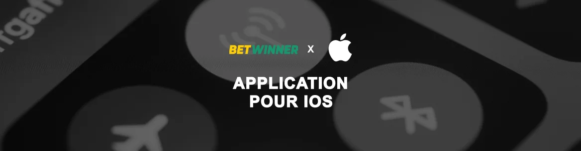 Building Relationships With Betwinner PC